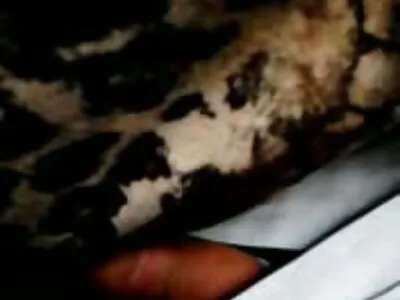 দুর্দান্ত চেহারার স্বর্ণকেশী ডিক রাইড বাংলা সেক্স এক্সক্সক্স করতে পছন্দ করে